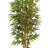 Bamboo Tree with Decorative Planter