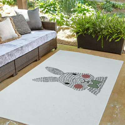 Elioth Chenille Indoor Rug
