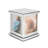 Single Picture Frame Picture Frame