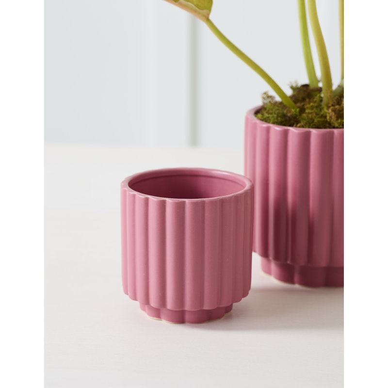 Jubi Carlin Pot