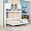 Queen Wall Murphy Bed with Storage Shelves, Hydraulic Lift System