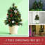 Paquet de 2 arbres de Noël pour l'extérieur, pin artificiel sans cordon avec piquets