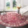 Chantae Performance Oriental Rug