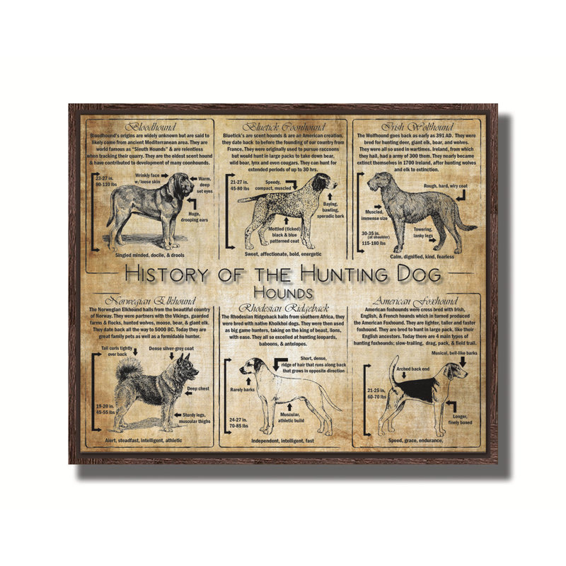 Histoire du chien de chasse - collage de race, Canevas, H 20 po x l 24 po x P 2 po