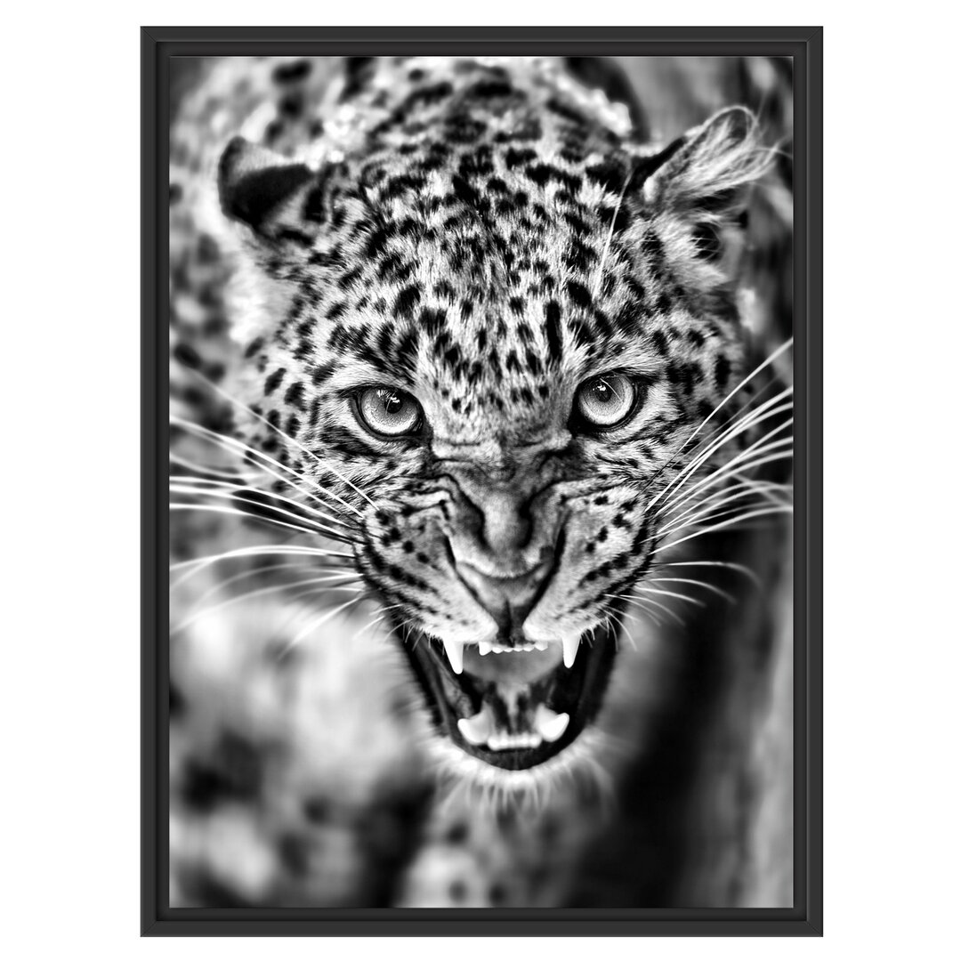 Gerahmtes Wandbild Fauchender Leopard