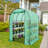 Walk-In Greenhouse With 3 Tiers And 8 Shelves