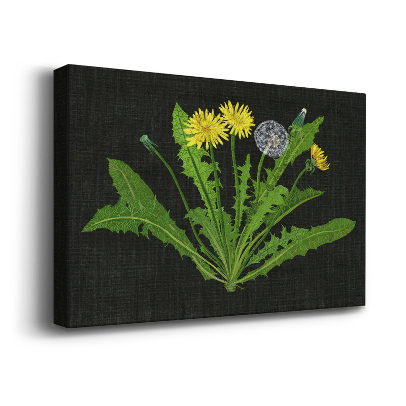 Wild Dandelion II - Wrapped Canvas Print, 18" W x 12" H