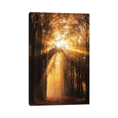 Sunburst by Martin Podt - Wrapped Canvas Gallery-Wrapped Canvas Giclée