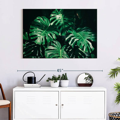 Harnek Lush Tropical