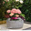 Ceasar Pot Planter-98969450-124583302