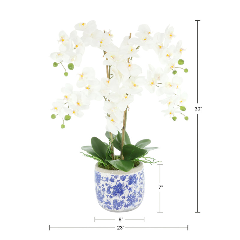 Phalaenopsis Floral Arrangement