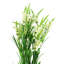 Pack of 6 x 80cm White Larkspur Stem