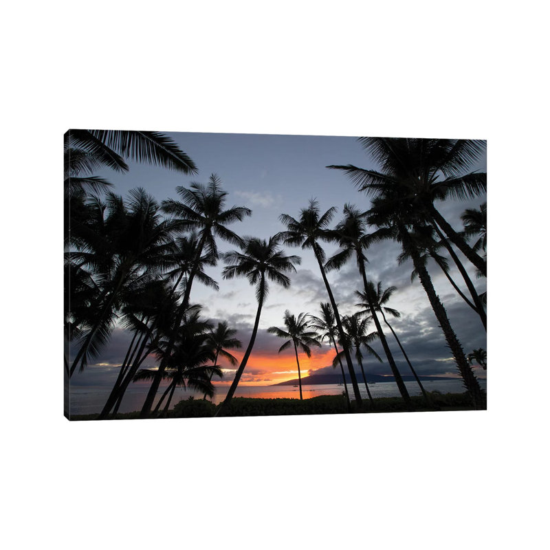 Silhouette Of Palm Trees At Dusk, Lahaina, Maui, Hawaii, USA - Wrapped Canvas Print, 101.6 cm H x 66.04 cm W x 3.175 cm D