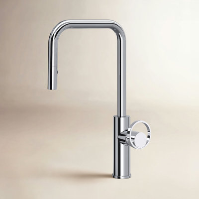 AllModern Linwood Pull Down Kitchen Faucet