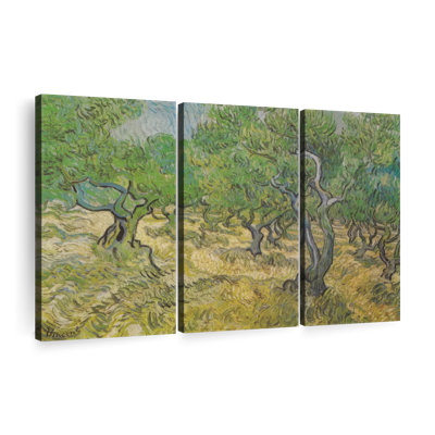 " Olive Grove "