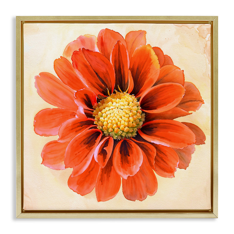 «Orange Dahlia Bloom», art mural encadré par Christine Zalewski, Cadre flottant métallique doré, H 18 po x l 18 po
