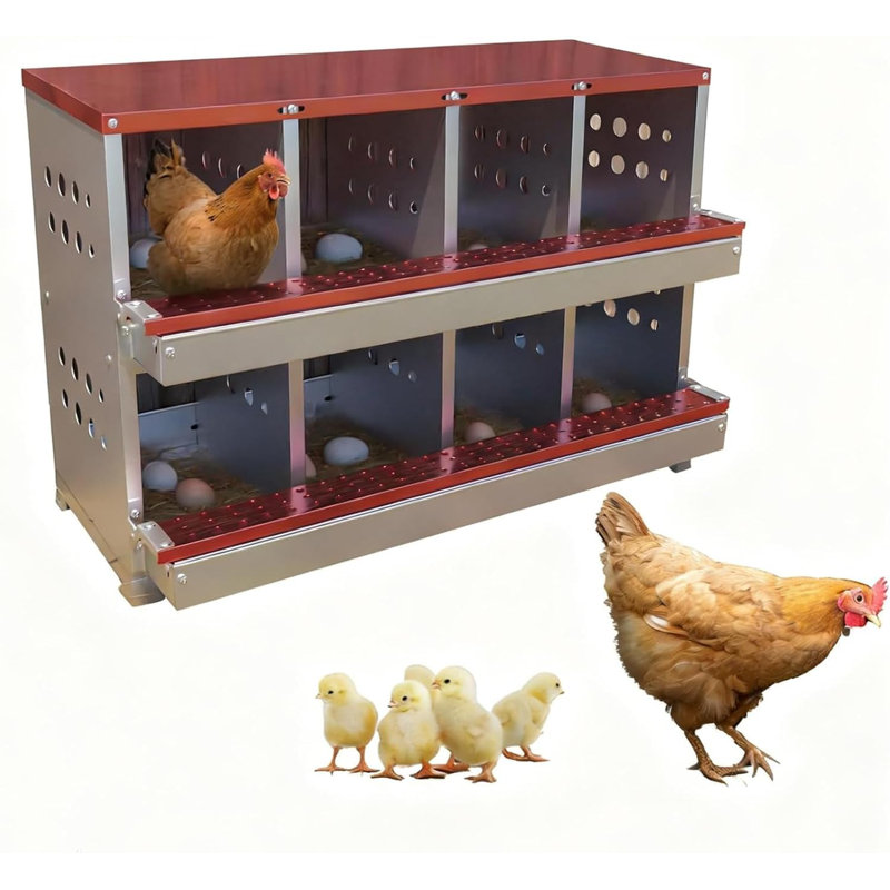 Chicken Coop