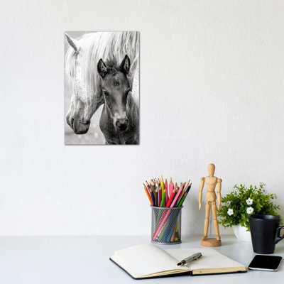 The Foal by Jacky Parker - Wrapped Canvas Print