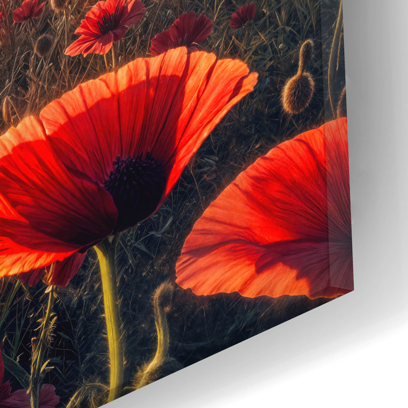  «Poppy Field Sunrise» par Rey Klimt, art mural en verre acrylique, 24 po x 12 po