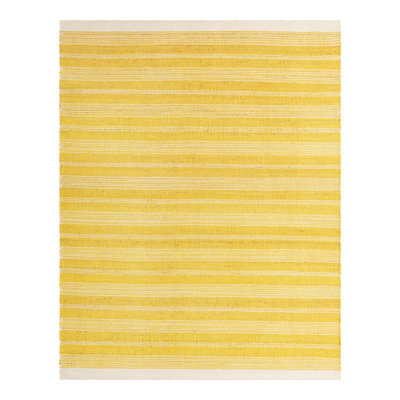 Striped Indoor Rug