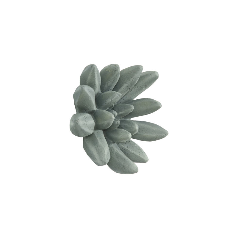 Compactum Succulent Wall Art, Green