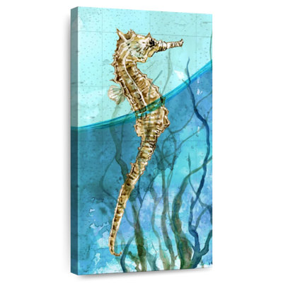 Hippocampe atlantique