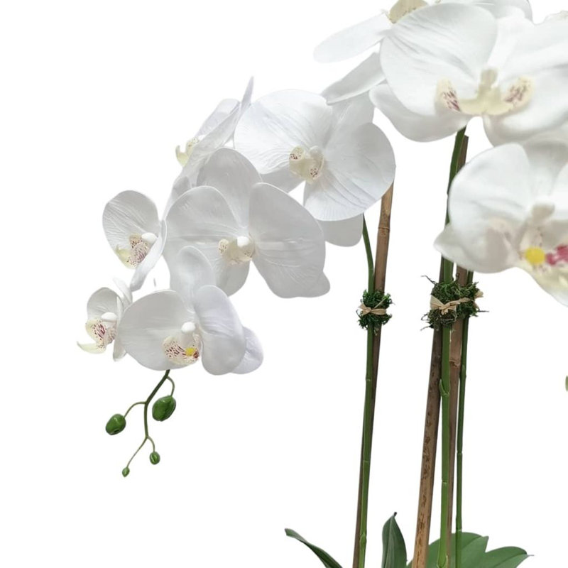 Centre de table orchidée dans un vase