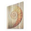 Cuivre cuivré spirales Nautilus - Nautilus, art sur bois de pin naturel-902838519