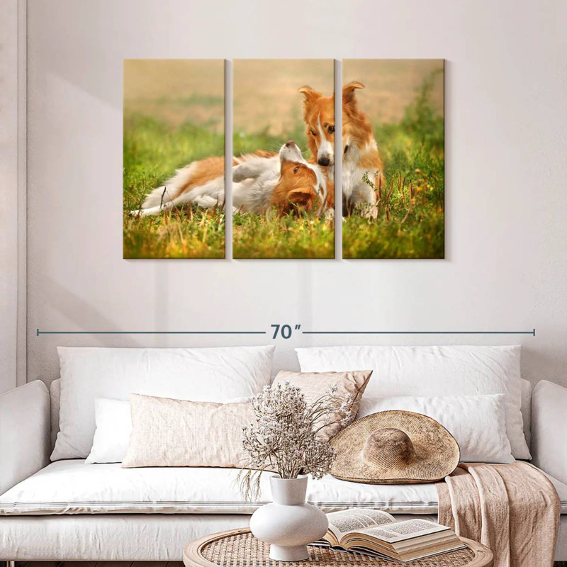 Brampt Border Collie Playtime, 28" H x 45" W