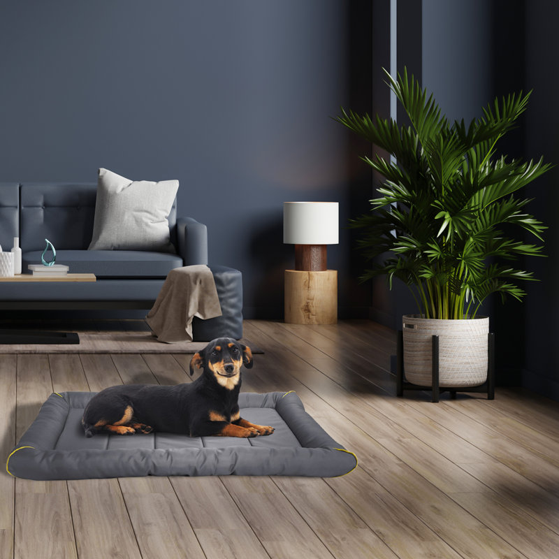 Tapis de caisse Fuffe, Très petit (l 24 po x P 18 po x H 2,5 po), Gris