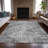 Machine Washable Indoor/Outdoor Xhevrie Gray Rug-111819458