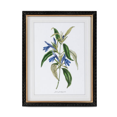 Summer Flower Framed Prints