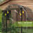 Galvanized Steel Crop Cage, Plant Protection Tent With Zippered Door, 4' X 4', Black-123626685-123626686