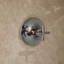 Purist® Rite Temp Shower Faucet-93563977