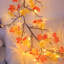 Feuilles d'érable, lumières de vigne de saule enchantées, 3,9 pi / 48 lumières DEL de couleur d'érable à 2 branches pour mur, minuterie à distance, modèle 8 lumières, portes de chambre à coucher mariage, Noël (3,9 pi / 48 DEL)