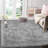 Indoor Rug-841301737