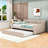 Full Size Velvet Daybed with Pull-Out Twin Trundle-252850191