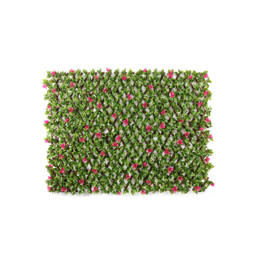 Annalicia 100Cm H x 200Cm W Plastic Expanding Trellis