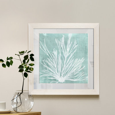 " Seaweed On Aqua IX "
