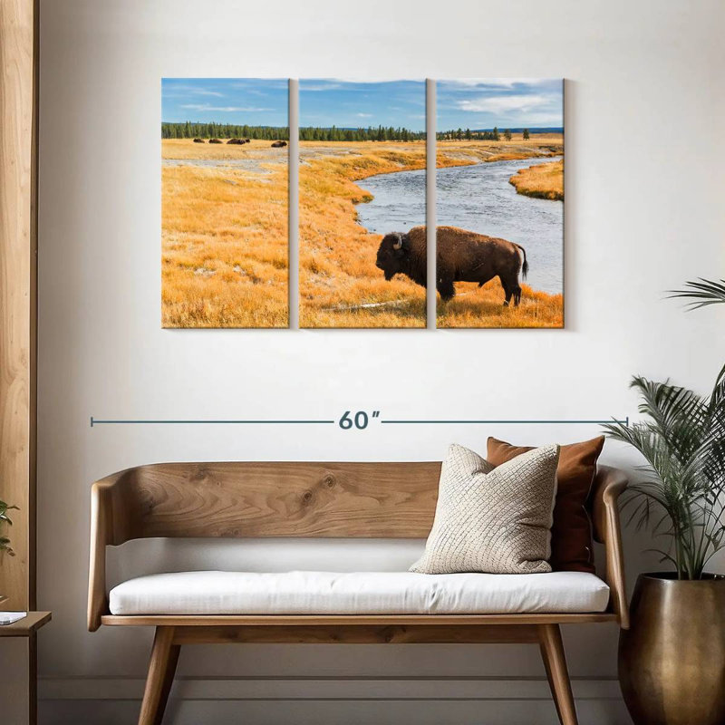 Bison du parc national Brampt, H 28 po x l 45 po