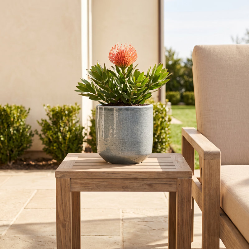 Sia Ceramic Pot Planter, 5.5" H x 5.5" W x 5.5" D, Gray