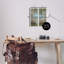 Ensemble de 2 plaques murales en bouleau blanc par Trevor Copenhaver