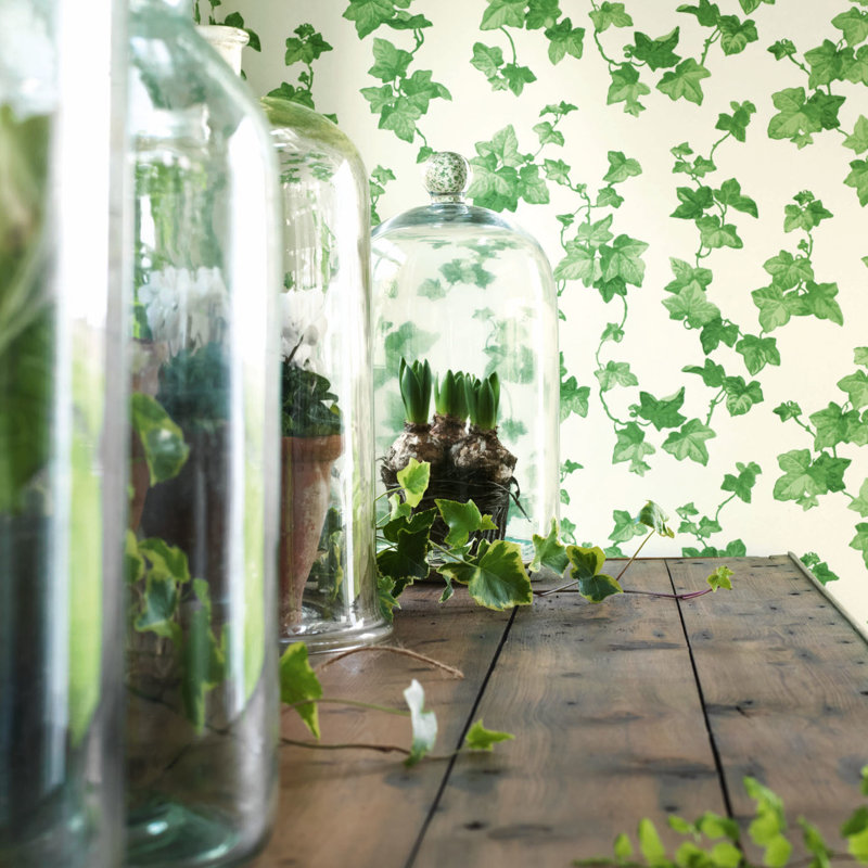 Hedera Wallpaper