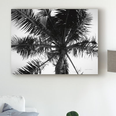 «Palm Tree Looking III» par Debra Van Swearingen - reproduction de photo sur toile