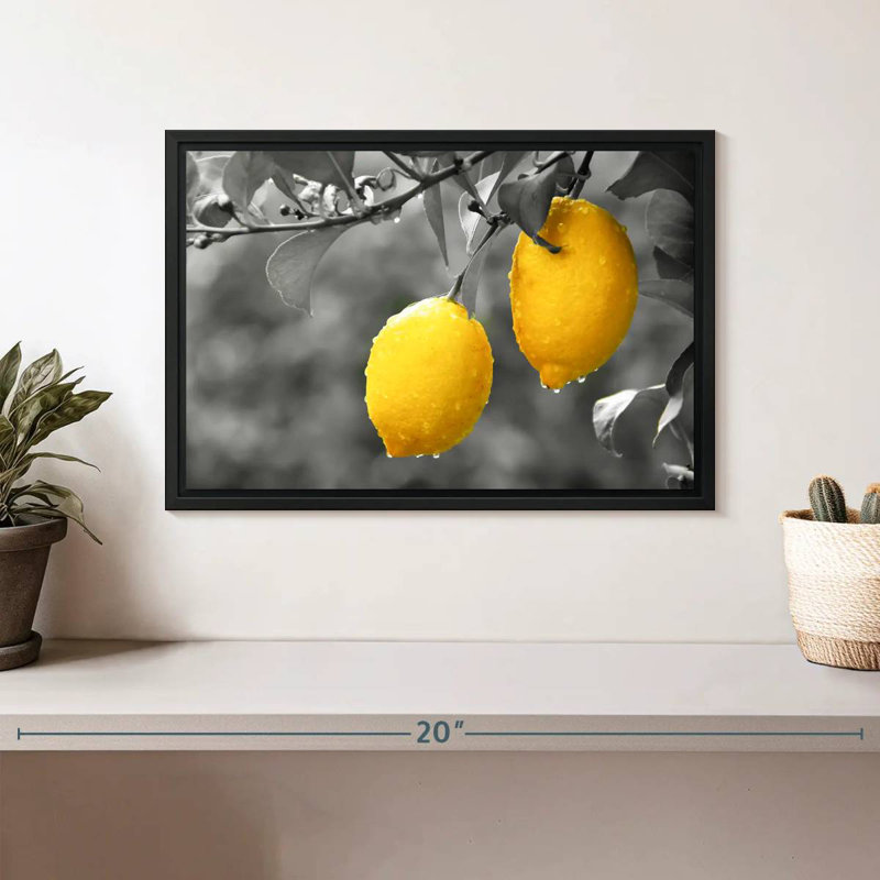 Yarlin citrons pop, H 9 po x l 13 po