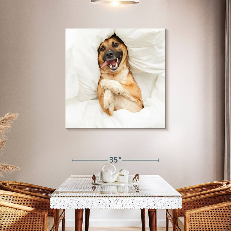 Crowle Happy Morning Dog, 39" H x 39" W