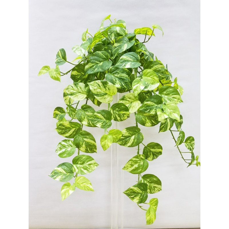 Real Touch Marble Pothos Hanging Bush, 31" H x 22" W x 4" D
