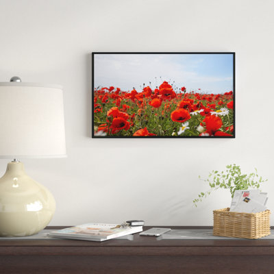 « red pops under blue blue sky », reproduction de photo sur toile tendue encadrée