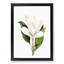 White Southern Magnolia Flower by Pierre-Joseph Redoute - Framed Print-55612681-55612675