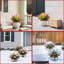 Agave artificielle-310408673-305410914